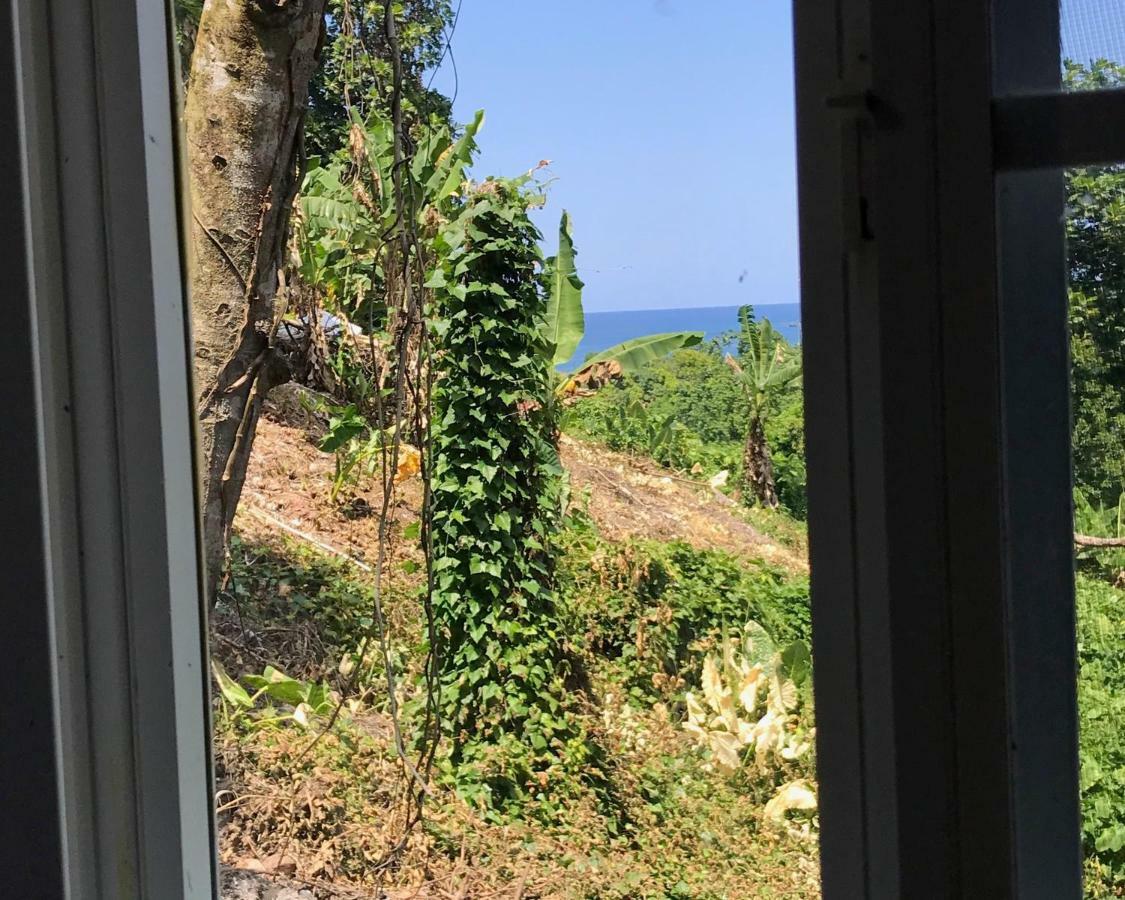 Viva Violas Πορτ Αντόνιο Εξωτερικό φωτογραφία